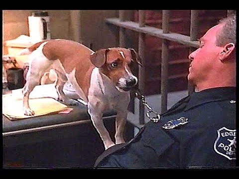 動物が出てくる映画やドラマで好きな作品 Part2