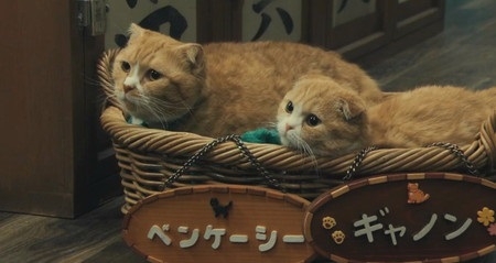 動物が出てくる映画やドラマで好きな作品 Part2