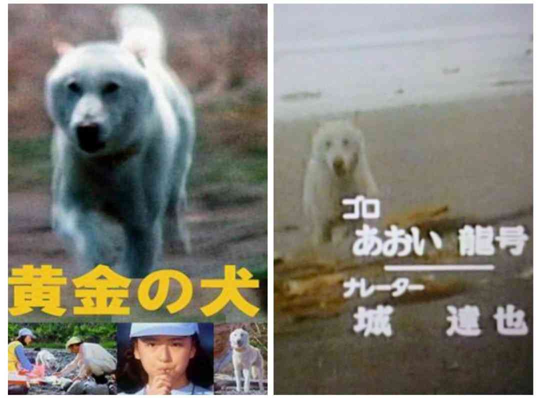 動物が出てくる映画やドラマで好きな作品 Part2