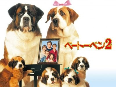 動物が出てくる映画やドラマで好きな作品 Part2