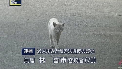 動物でホストクラブを作ろう!GW舞台裏編