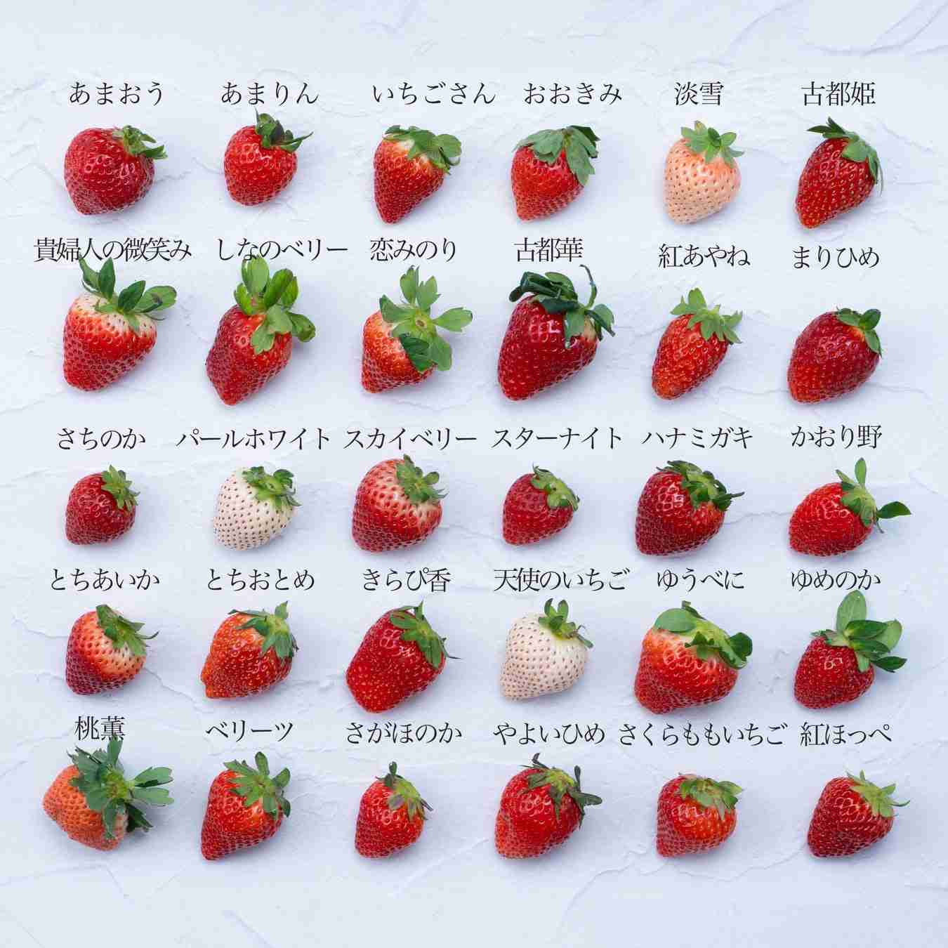 貼られた画像内で一番好きなのを発表するトピ