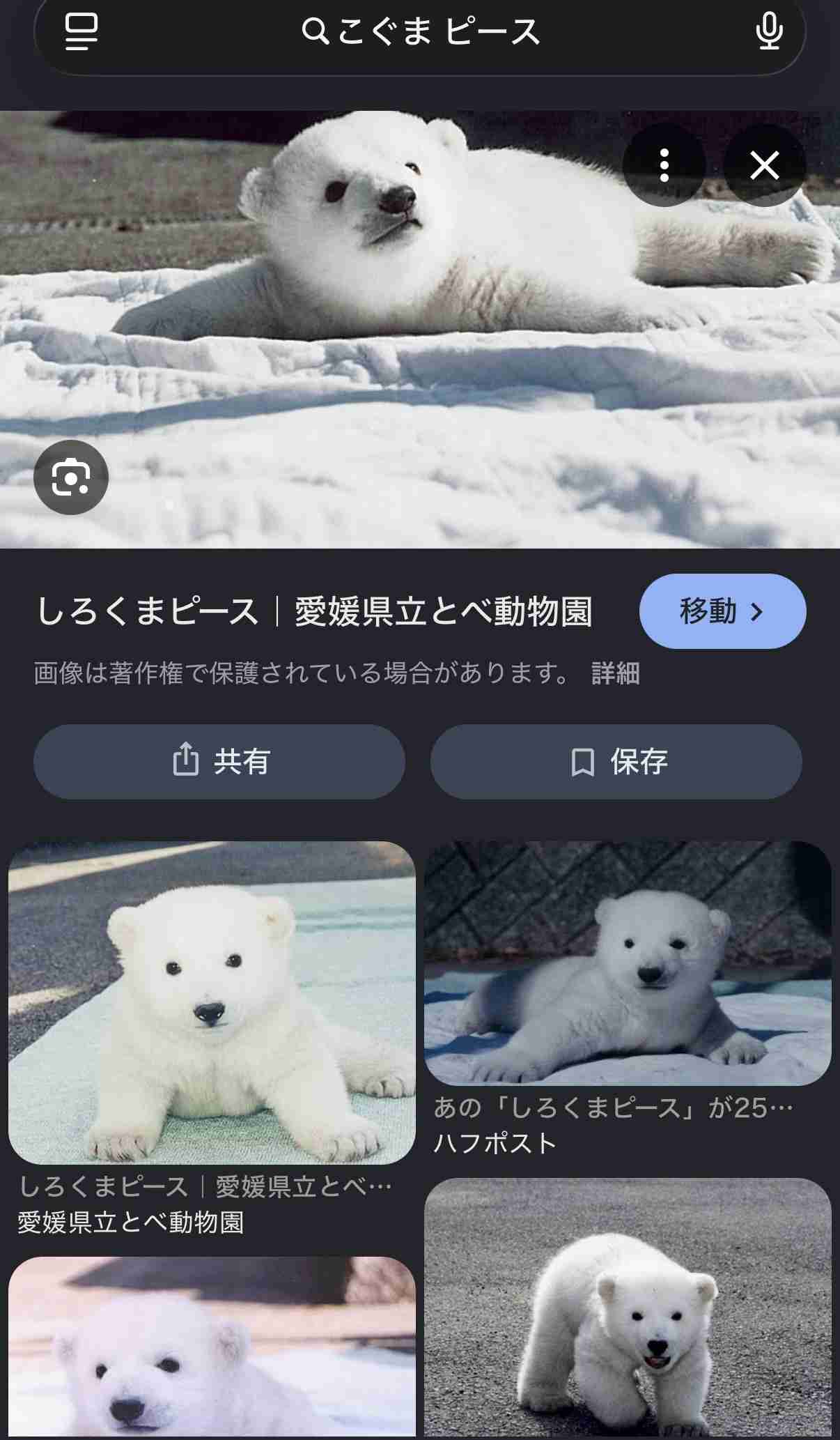 登山中の男性がクマに襲われ重傷　東京・奥多摩町　警視庁