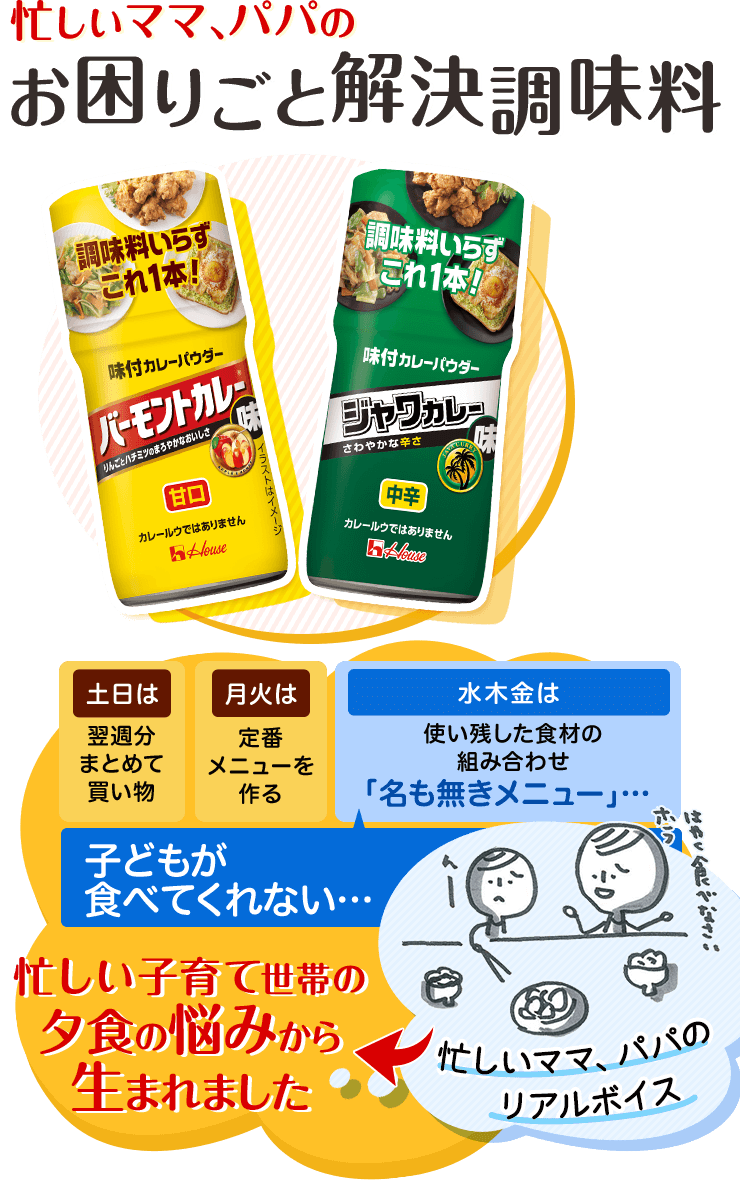 カレー粉何を使っていますか？