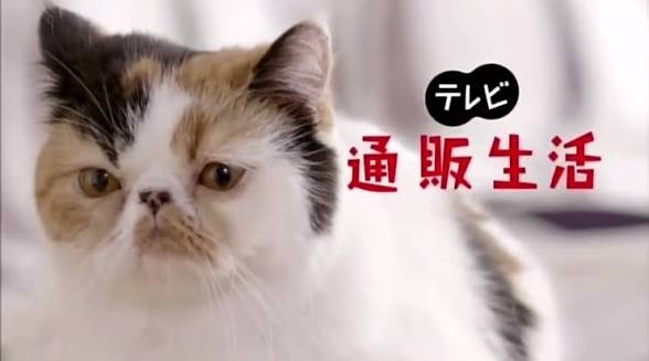 センスないなと思うCM Part2