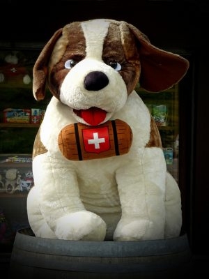 スイス旅行に行った事ある人🇨🇭