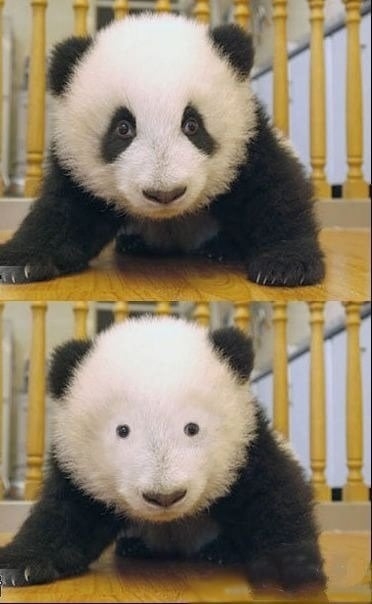 (メイク崩れ)パンダ目予防