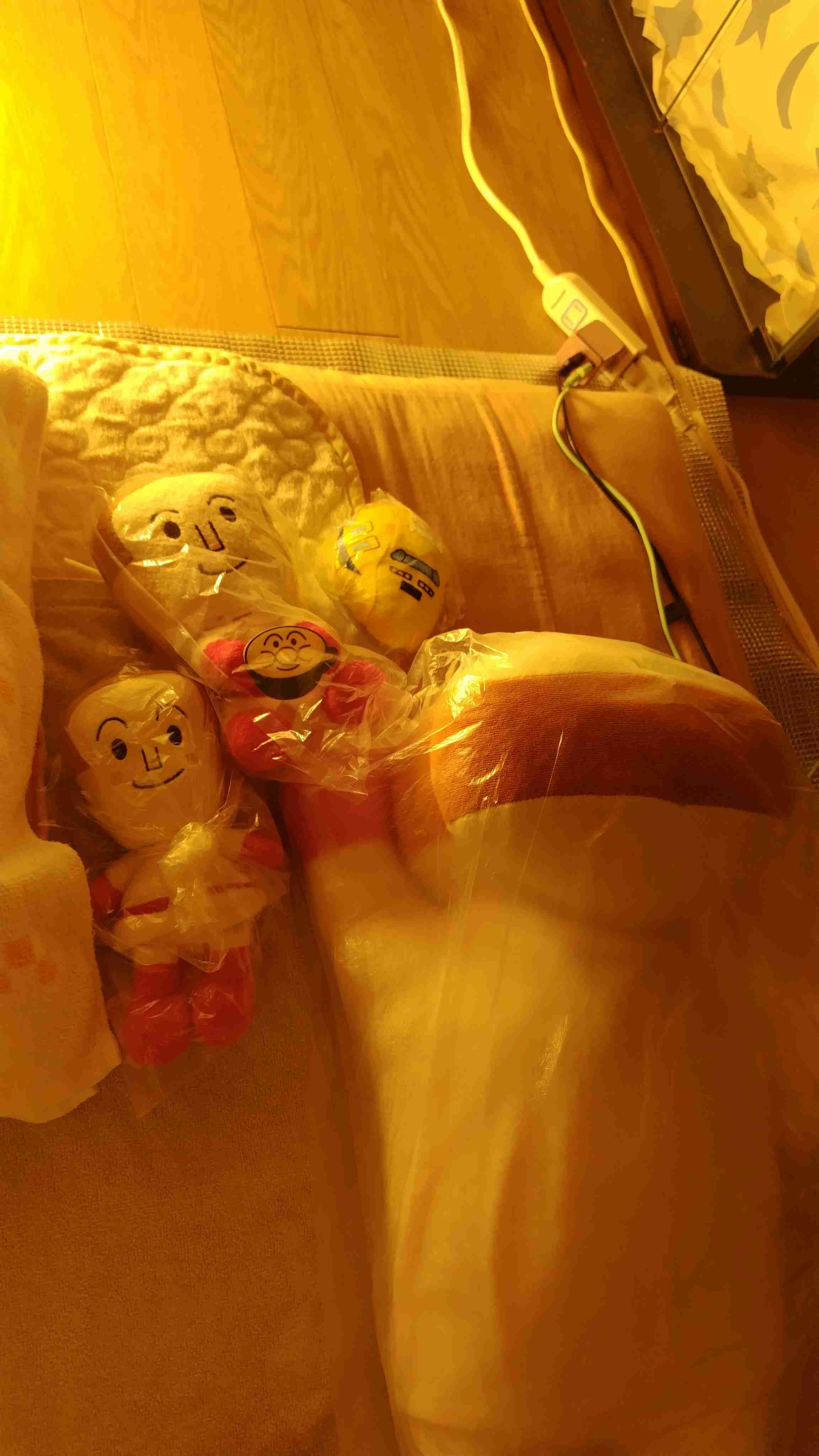 ぬいぐるみを溺愛してる人集合【part17】🧸