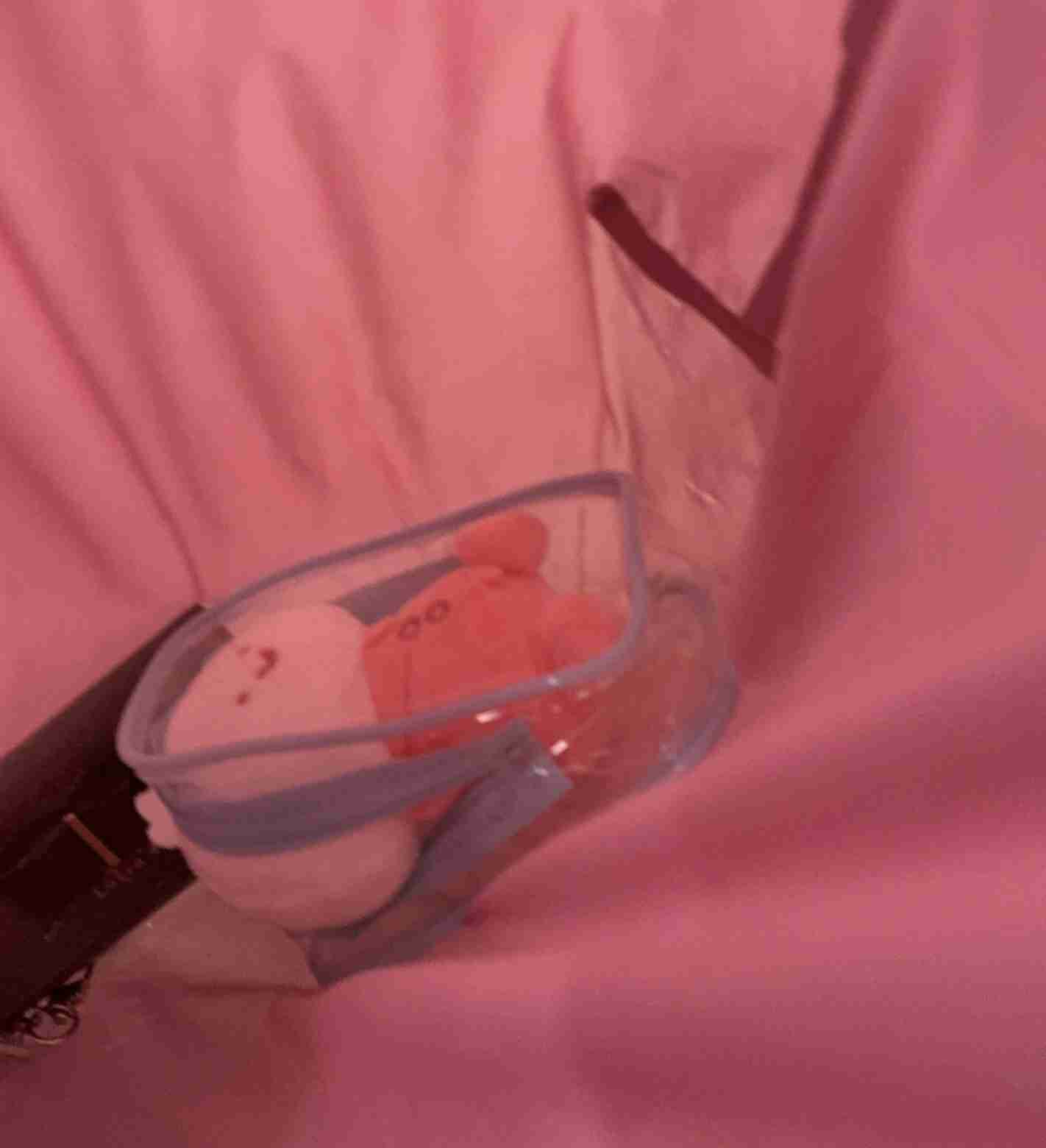 ぬいぐるみを溺愛してる人集合【part17】🧸
