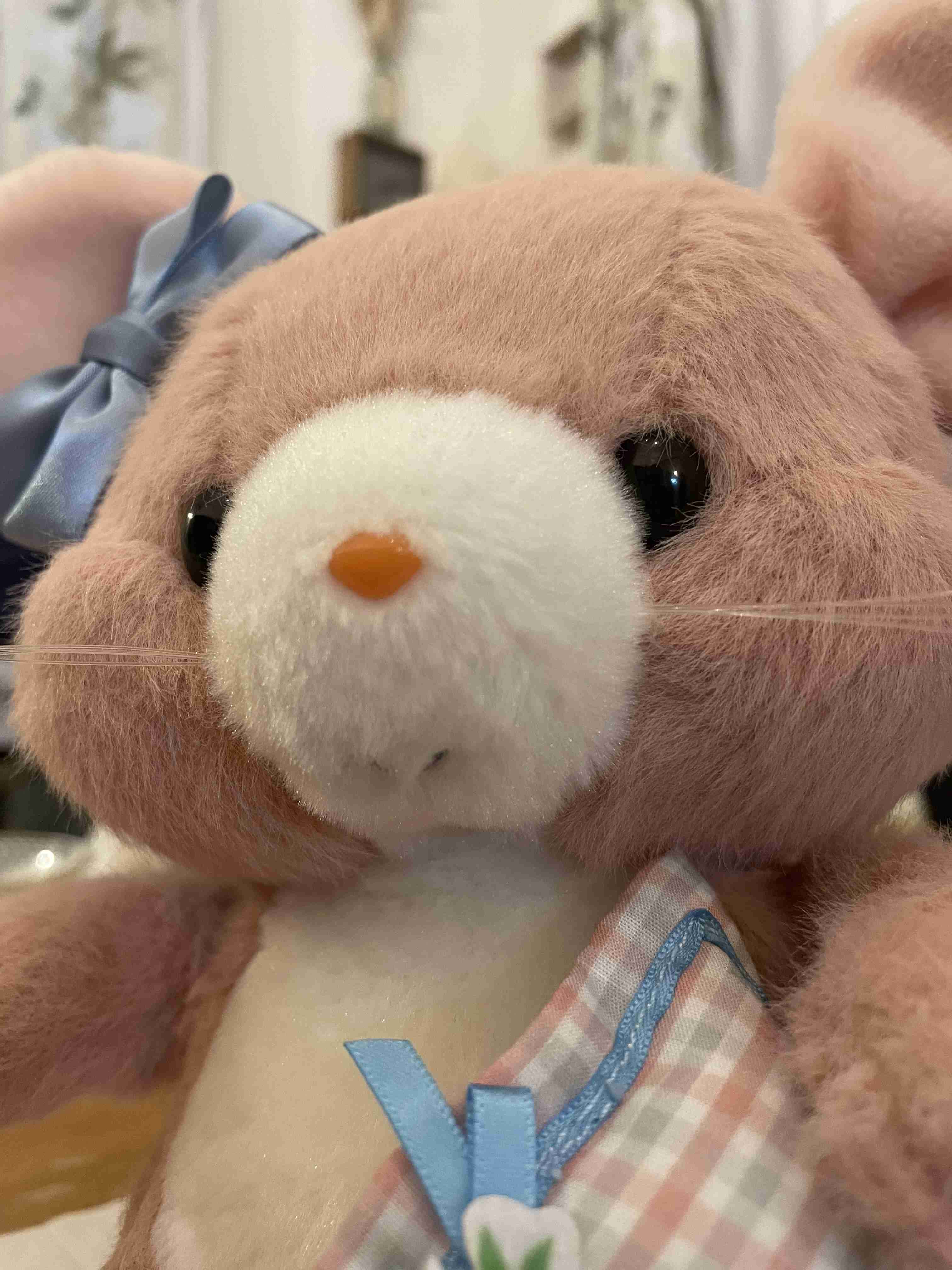 ぬいぐるみを溺愛してる人集合【part17】🧸
