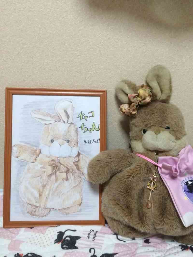 ぬいぐるみを溺愛してる人集合【part17】🧸