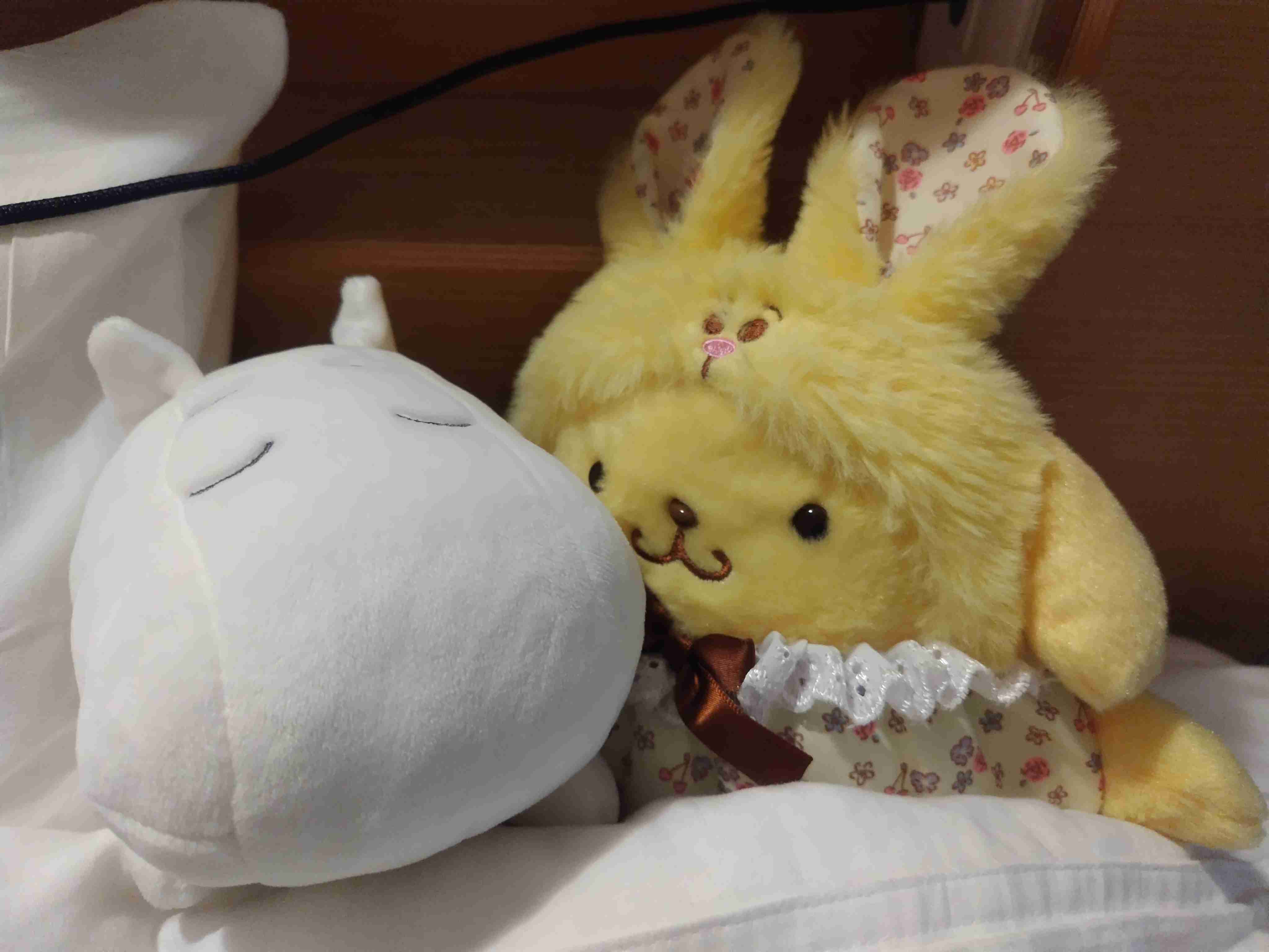 ぬいぐるみを溺愛してる人集合【part17】🧸