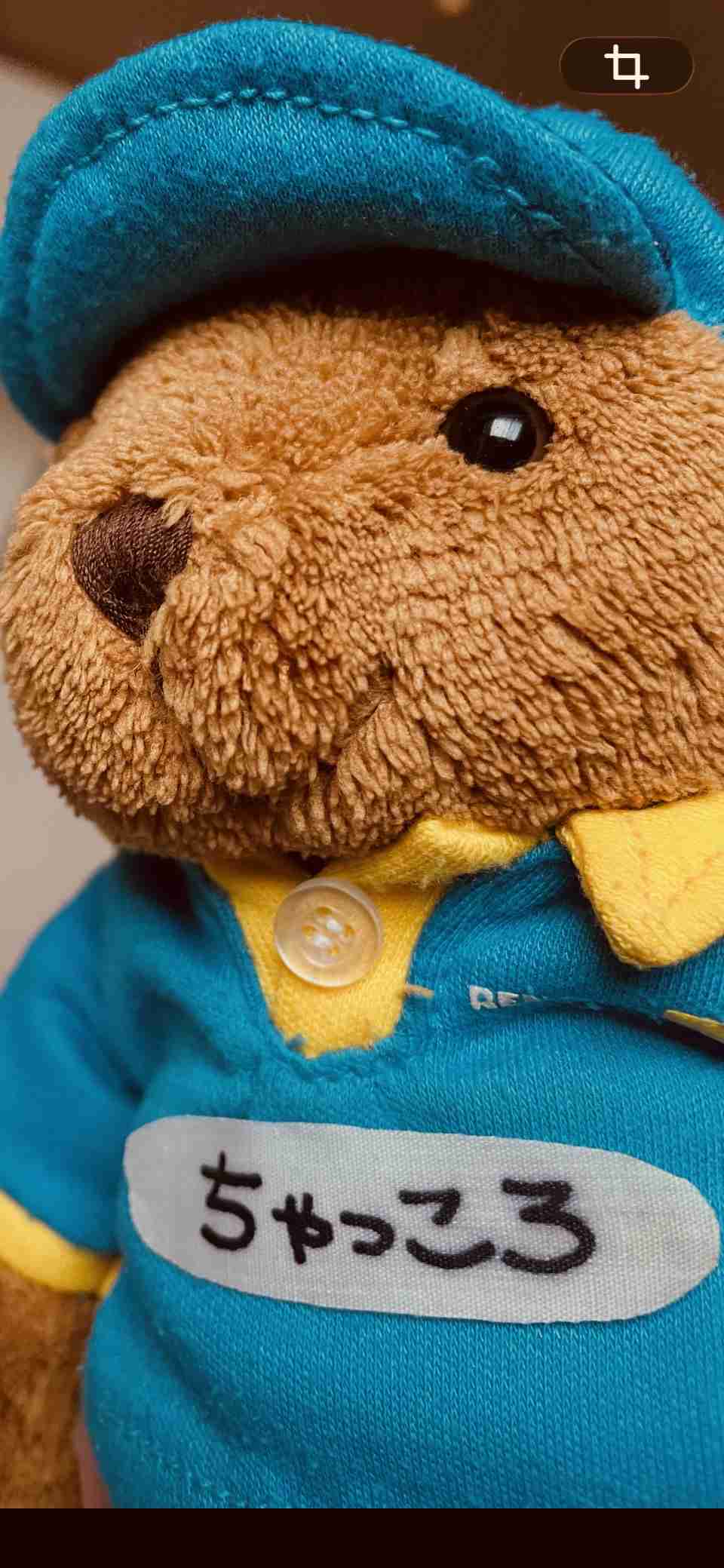 ぬいぐるみを溺愛してる人集合【part17】🧸