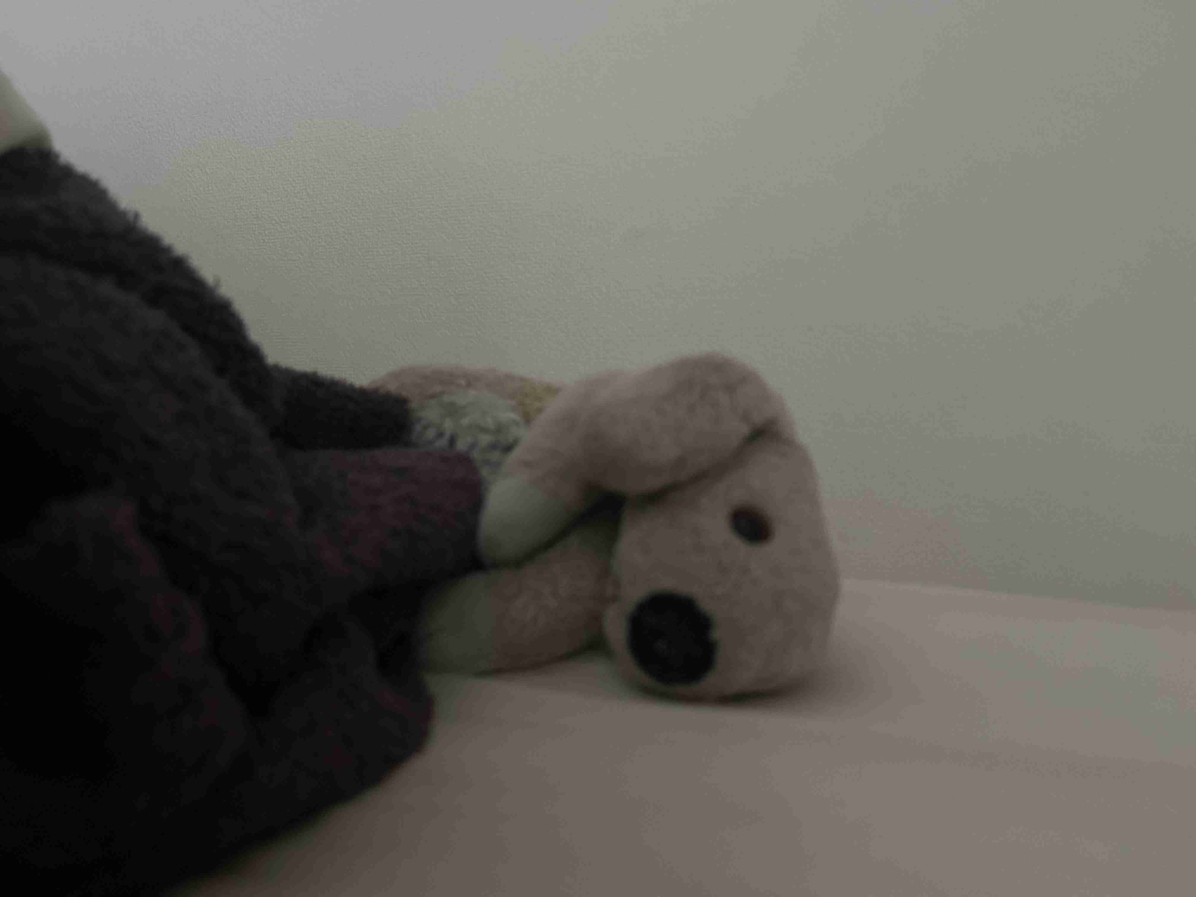 ぬいぐるみを溺愛してる人集合【part17】🧸