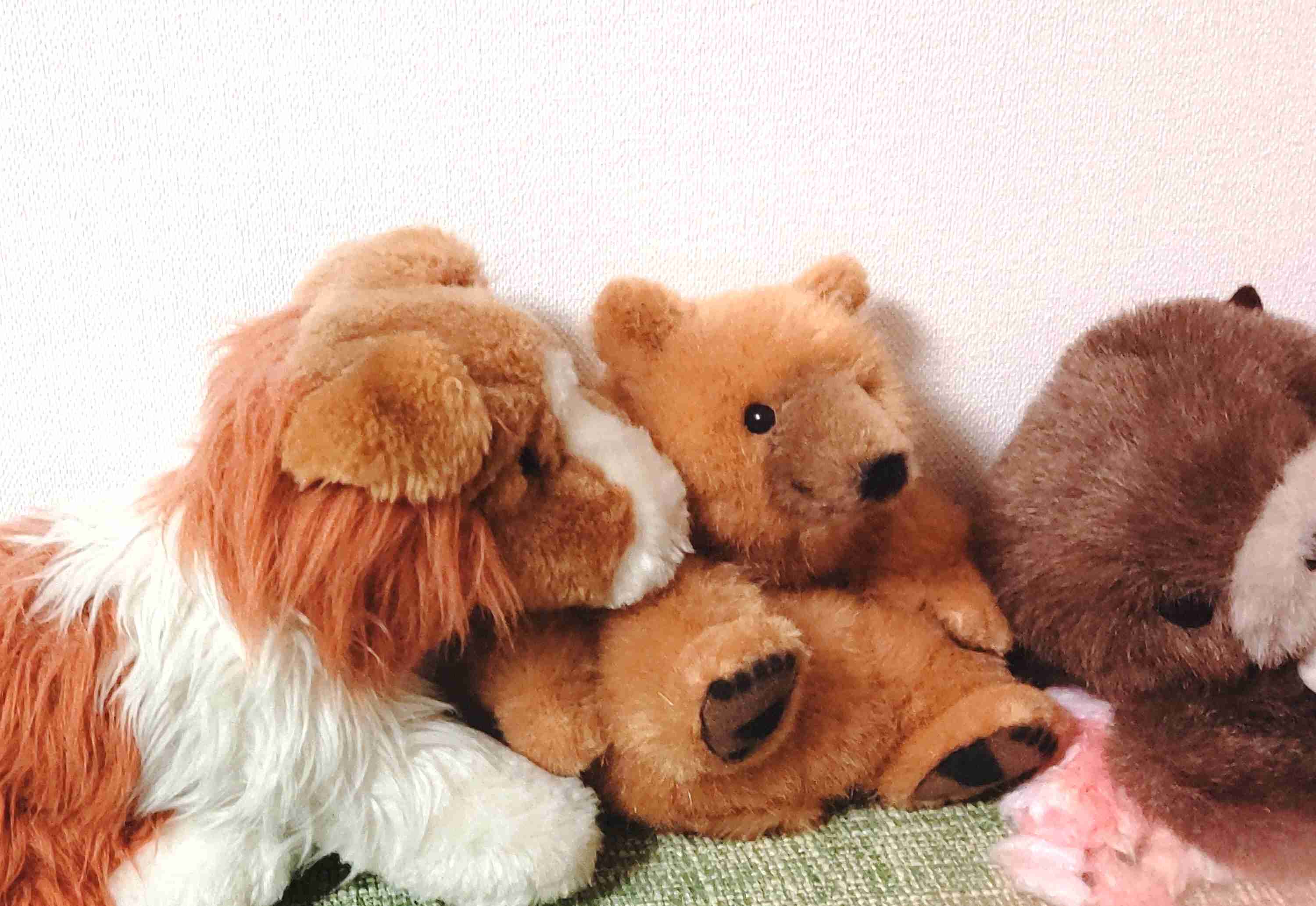 ぬいぐるみを溺愛してる人集合【part17】🧸