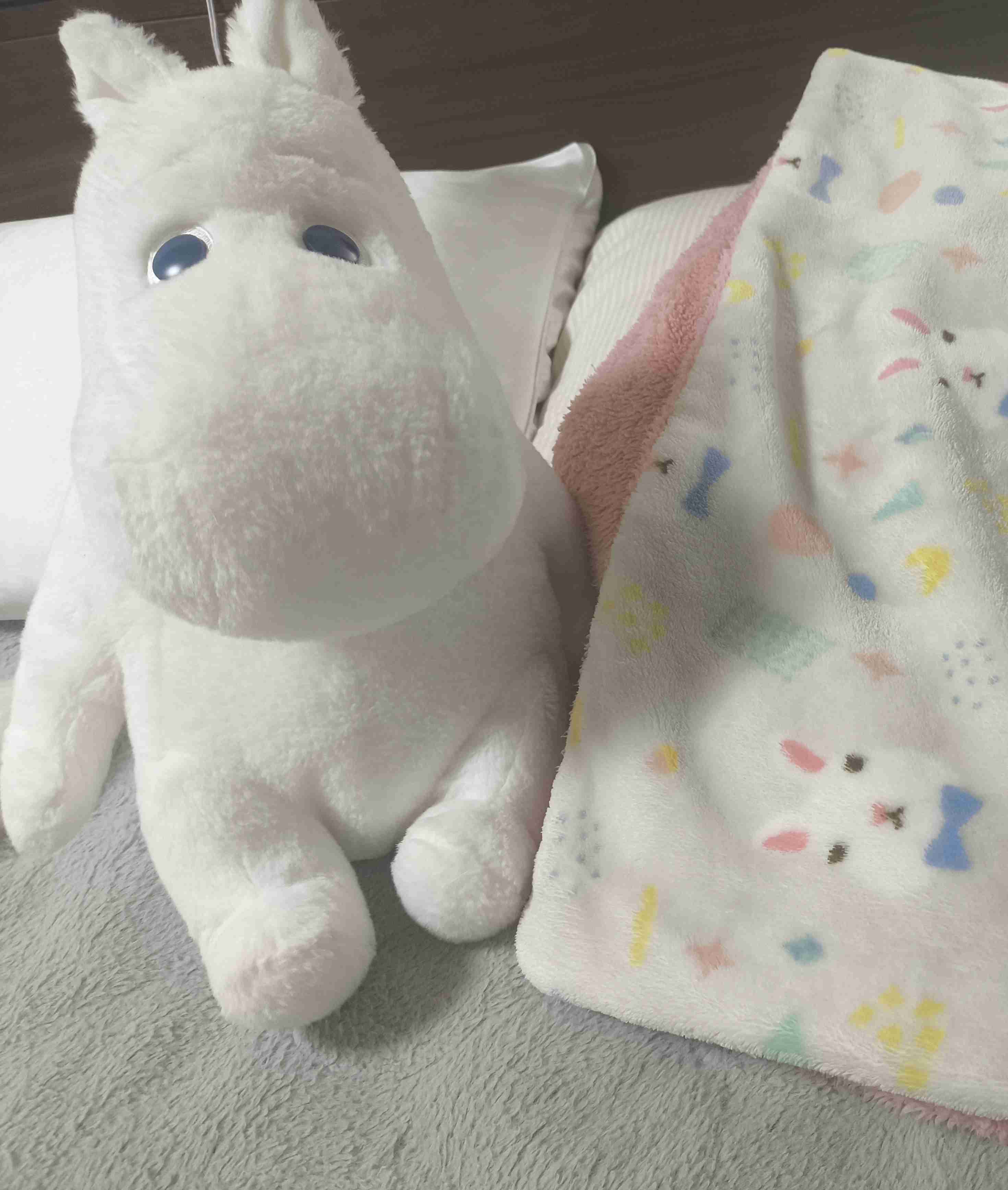 ぬいぐるみを溺愛してる人集合【part17】🧸