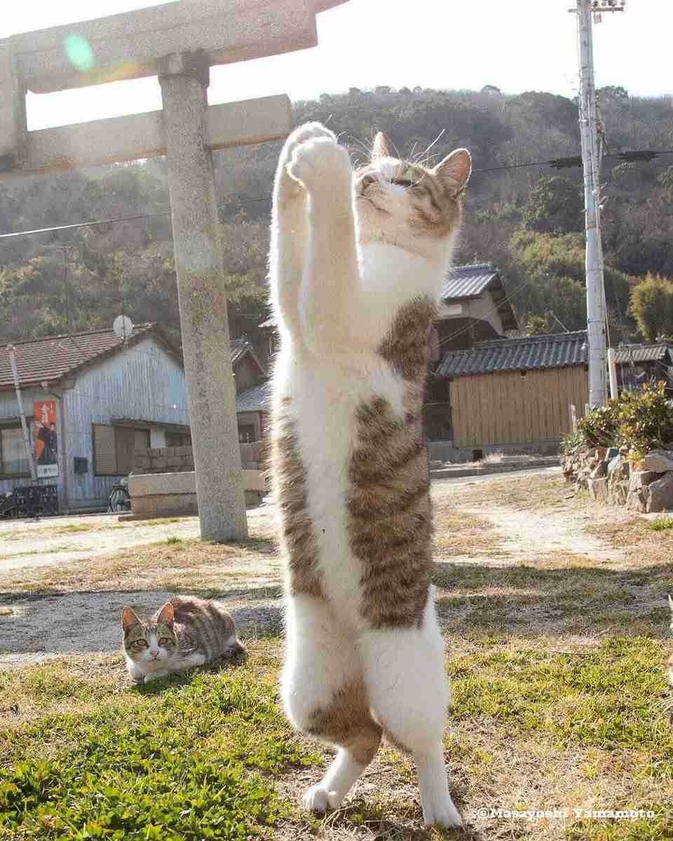 母の手術が不安