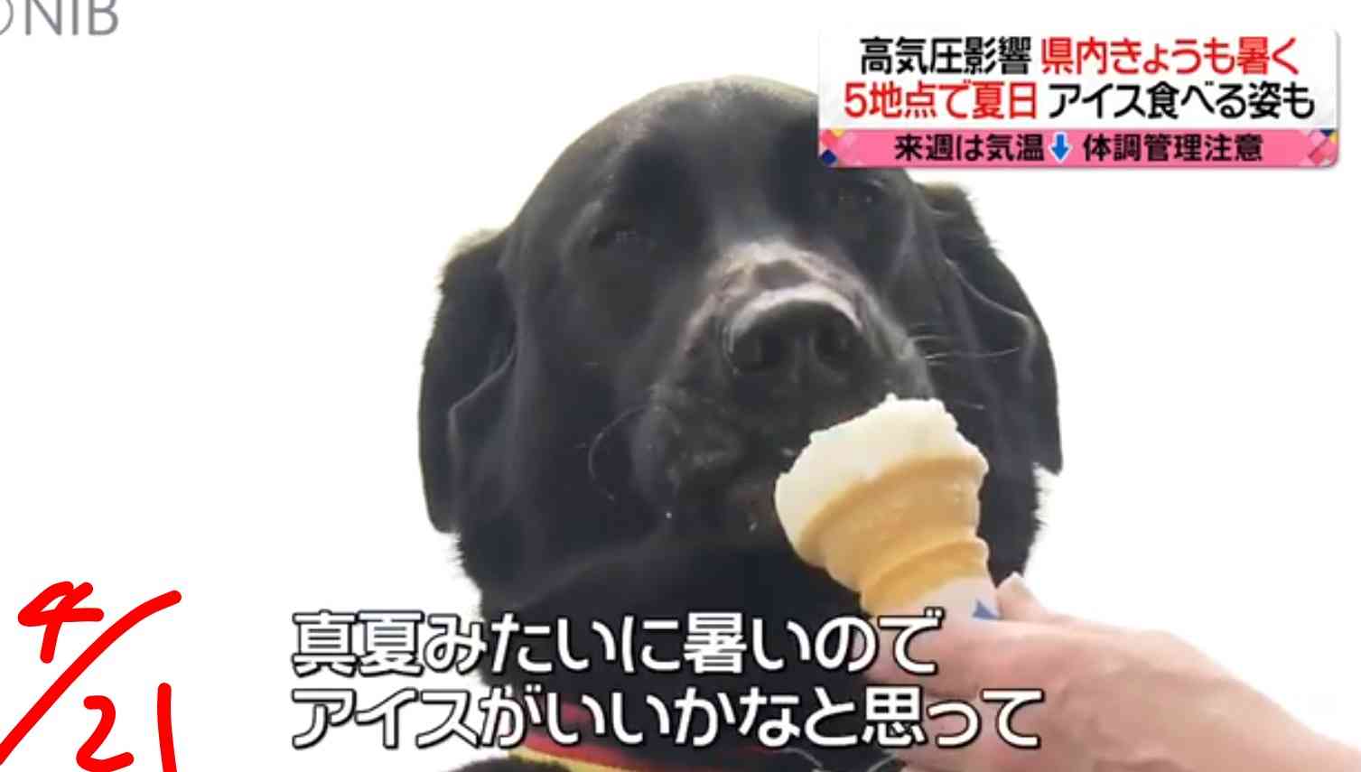 関東で今年初の30℃以上(真夏日)　今日4日東京・練馬