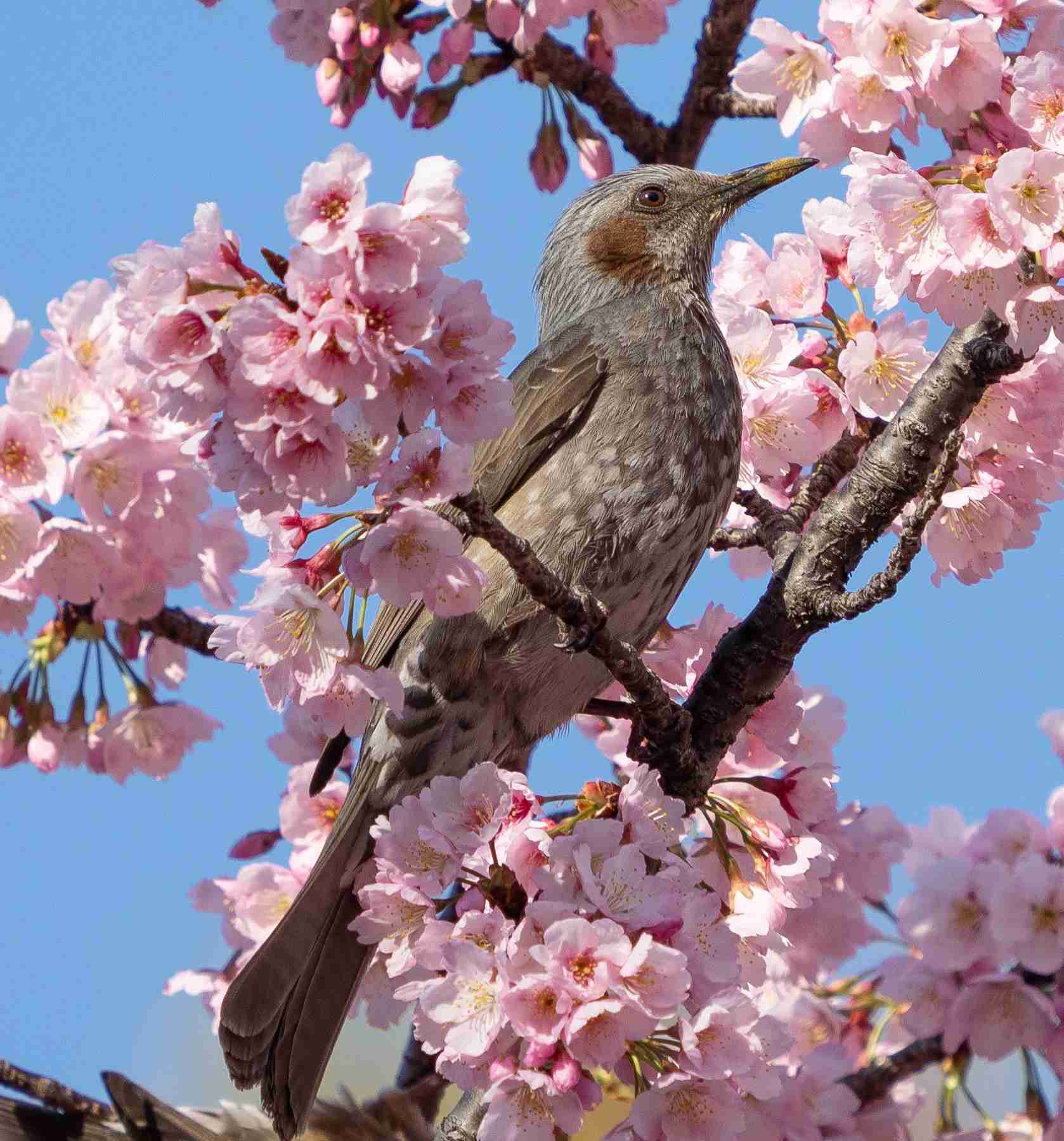 自然について感動したこと