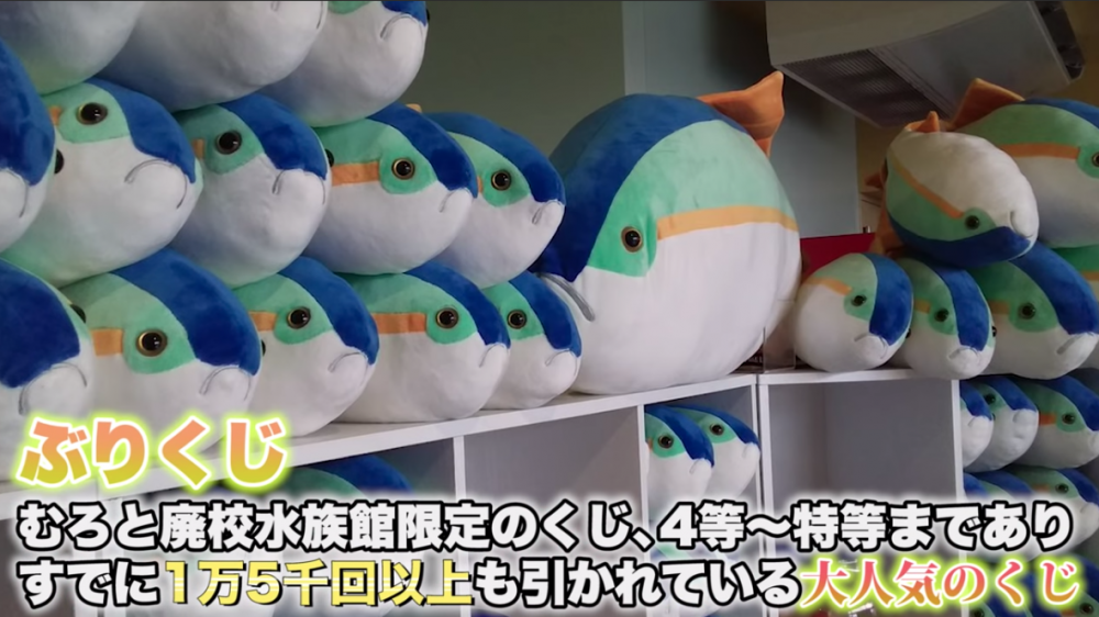 高知のおすすめ