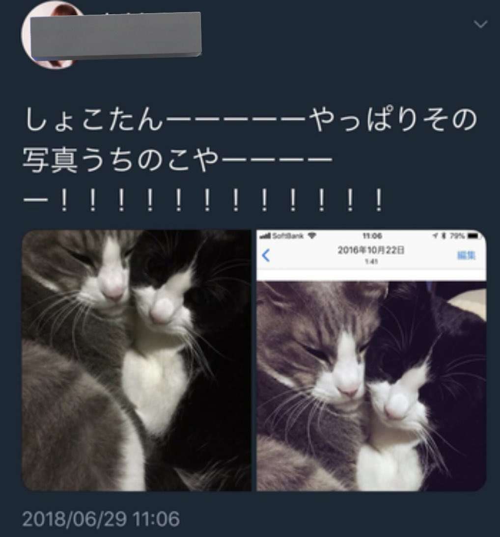 「それ私の！」ファストフード店で隣の見知らぬ子がポテトをパクリ！41歳女性が子どものうっかりを「微笑ましい」と思えなかった理由