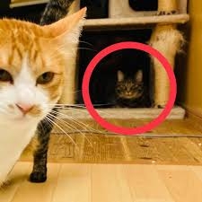心霊写真は本当なのか