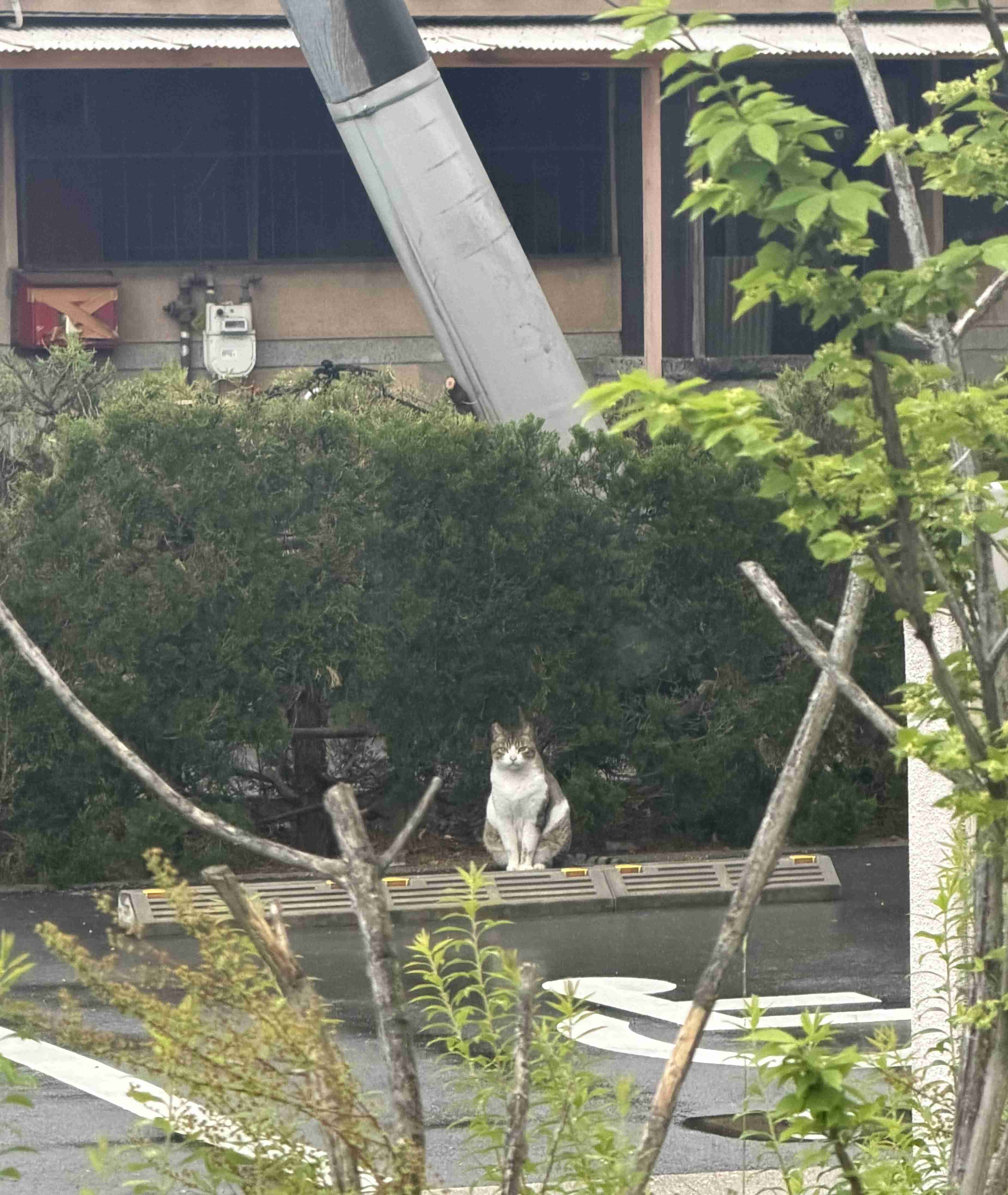 人を見る目