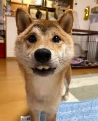 あれ？？私もしかして◯◯フェチ？⋯と思ったこと