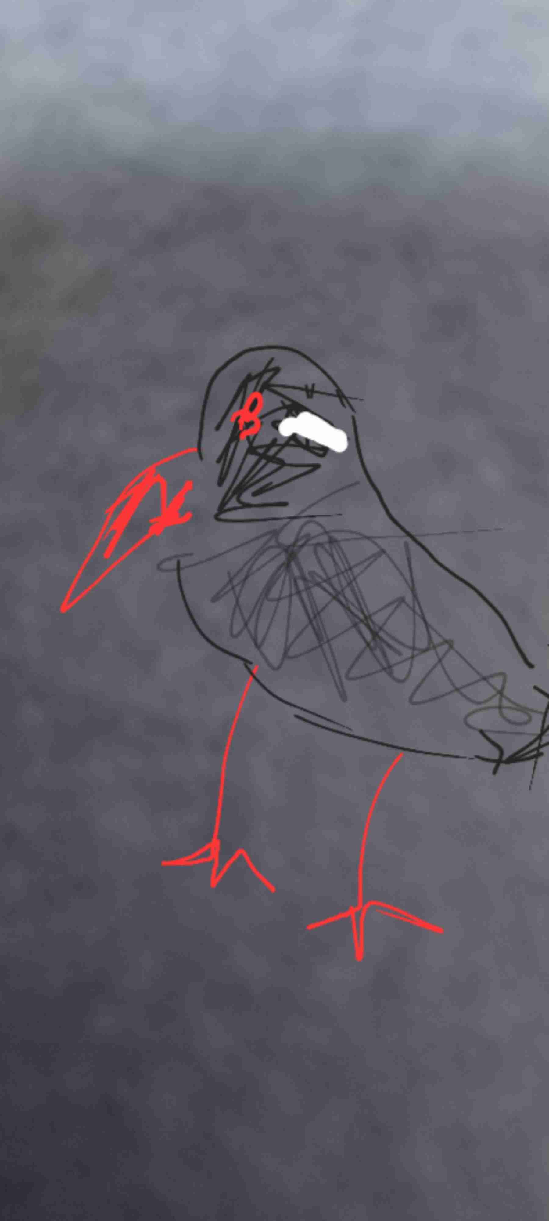 【お絵描き】絵しりとりしよう！【定期】
