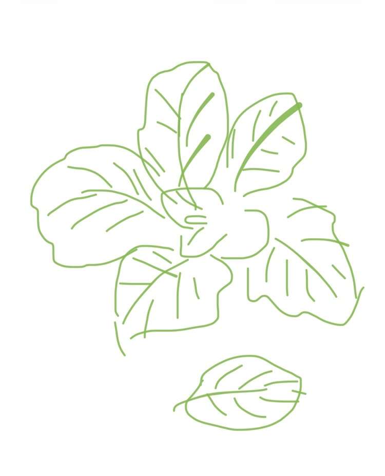 【お絵描き】絵しりとりしよう！【定期】