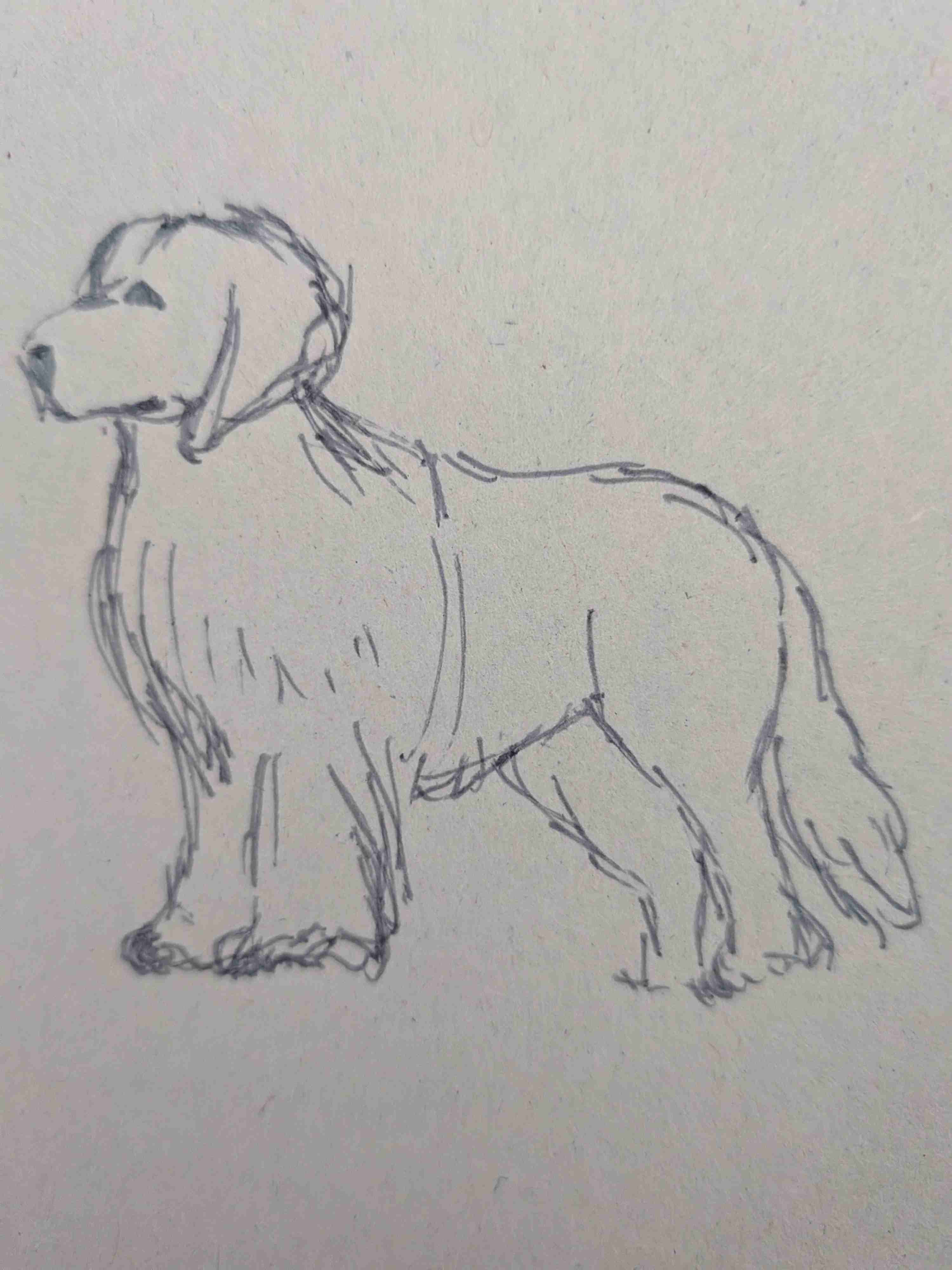 【お絵描き】絵しりとりしよう！【定期】
