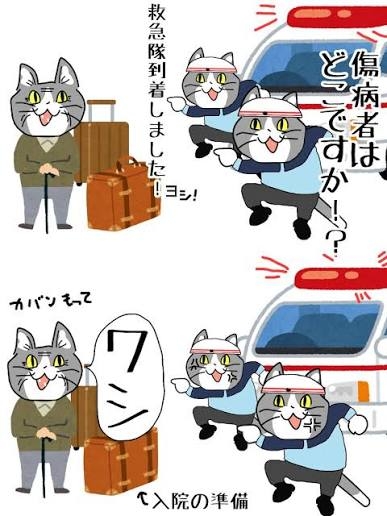 「鳴らさないで」のクレームも…救急車のサイレンは「法令義務」　仙台市消防局の投稿に「鳴らさない方がかえって危ない」