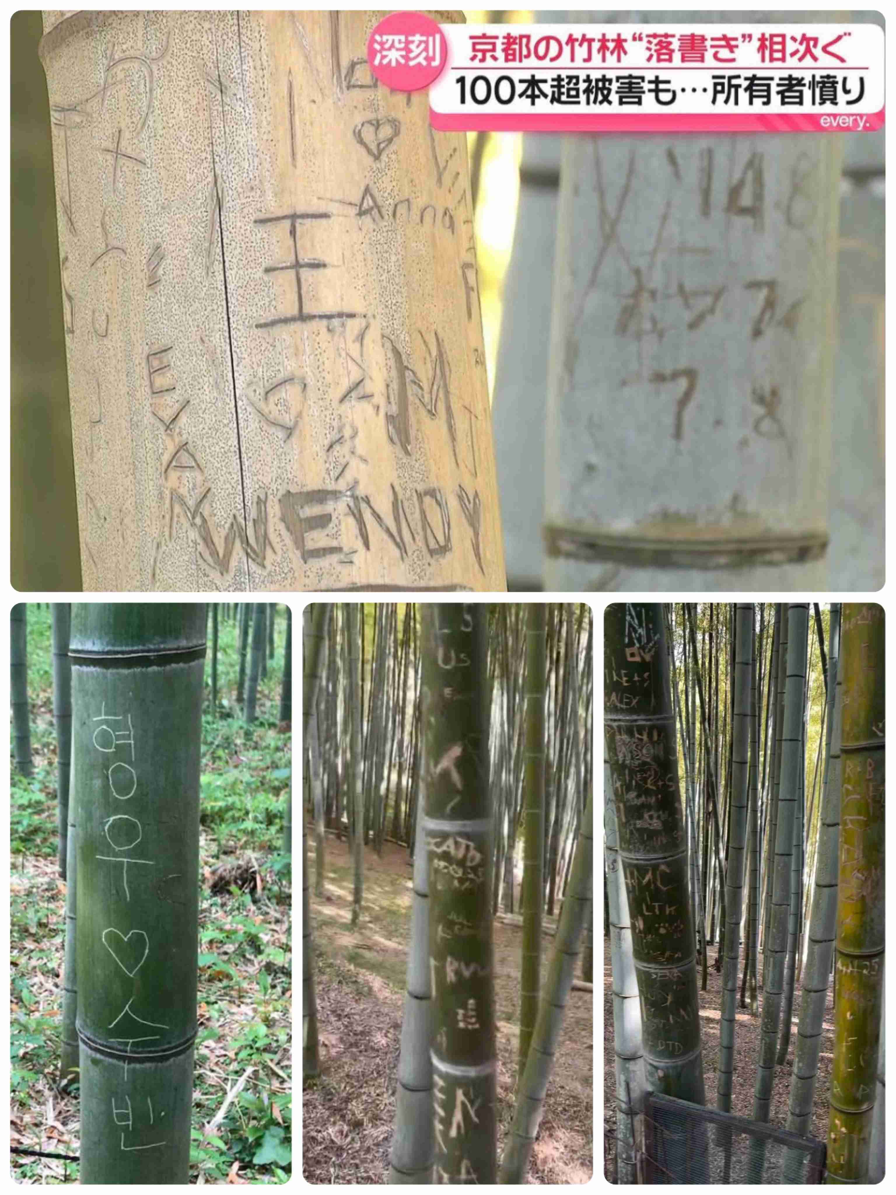 【迷惑】落書き相次ぐ伏見稲荷大社で“外国人”が竹に落書きか　目撃したベトナム人男性「注意したが『別に何も』と」