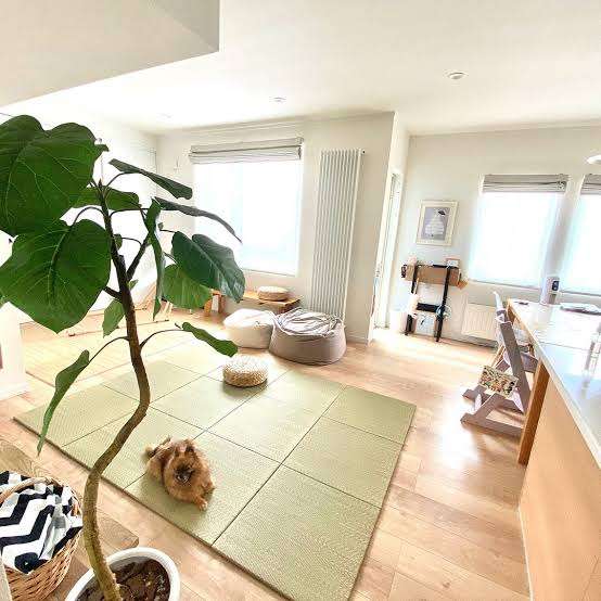 新居のソファー迷う
