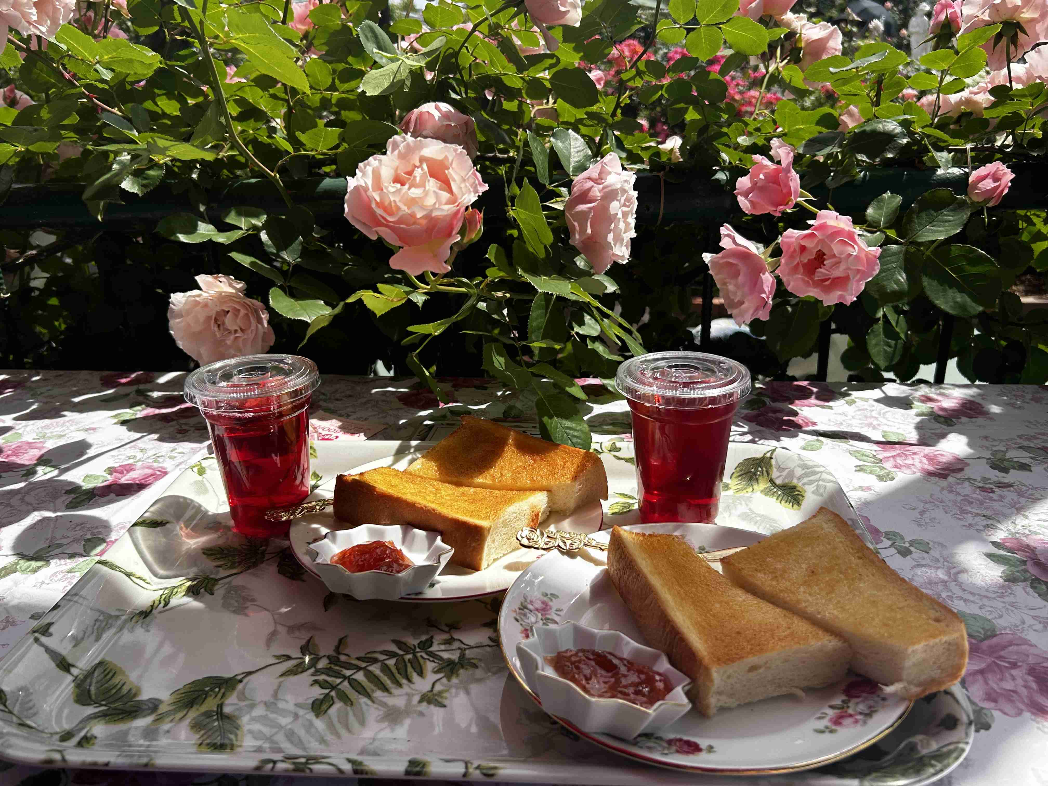薔薇が見ごろ