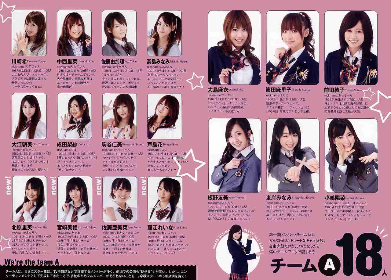 AKB48時代の板野友美が好きだった人！