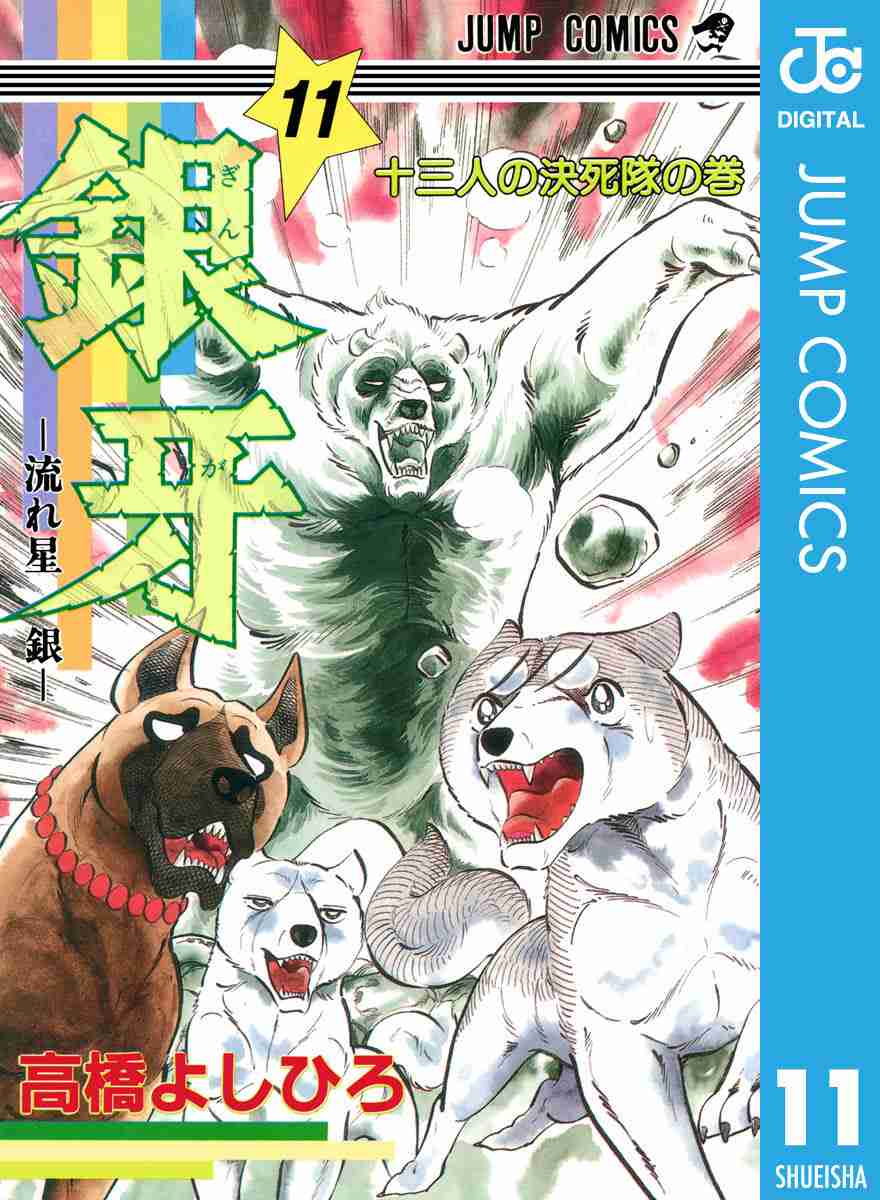 現役のマタギが実感するクマの変化「人間を獲物とみなすクマが増えている」 真っ先に狙われるのは“力の弱い高齢者や女性、子供”