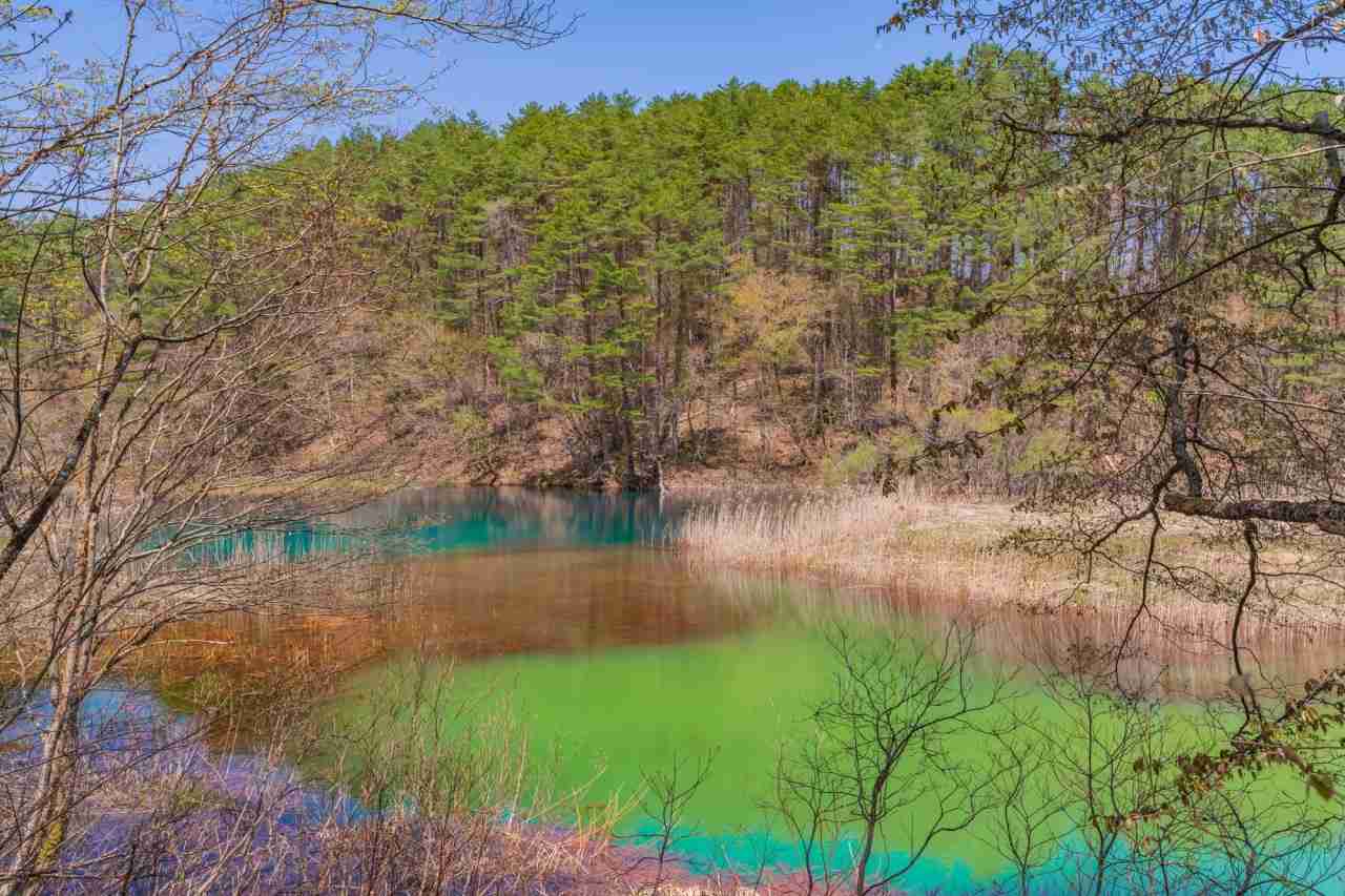 福島（会津若松）旅行のおすすめ