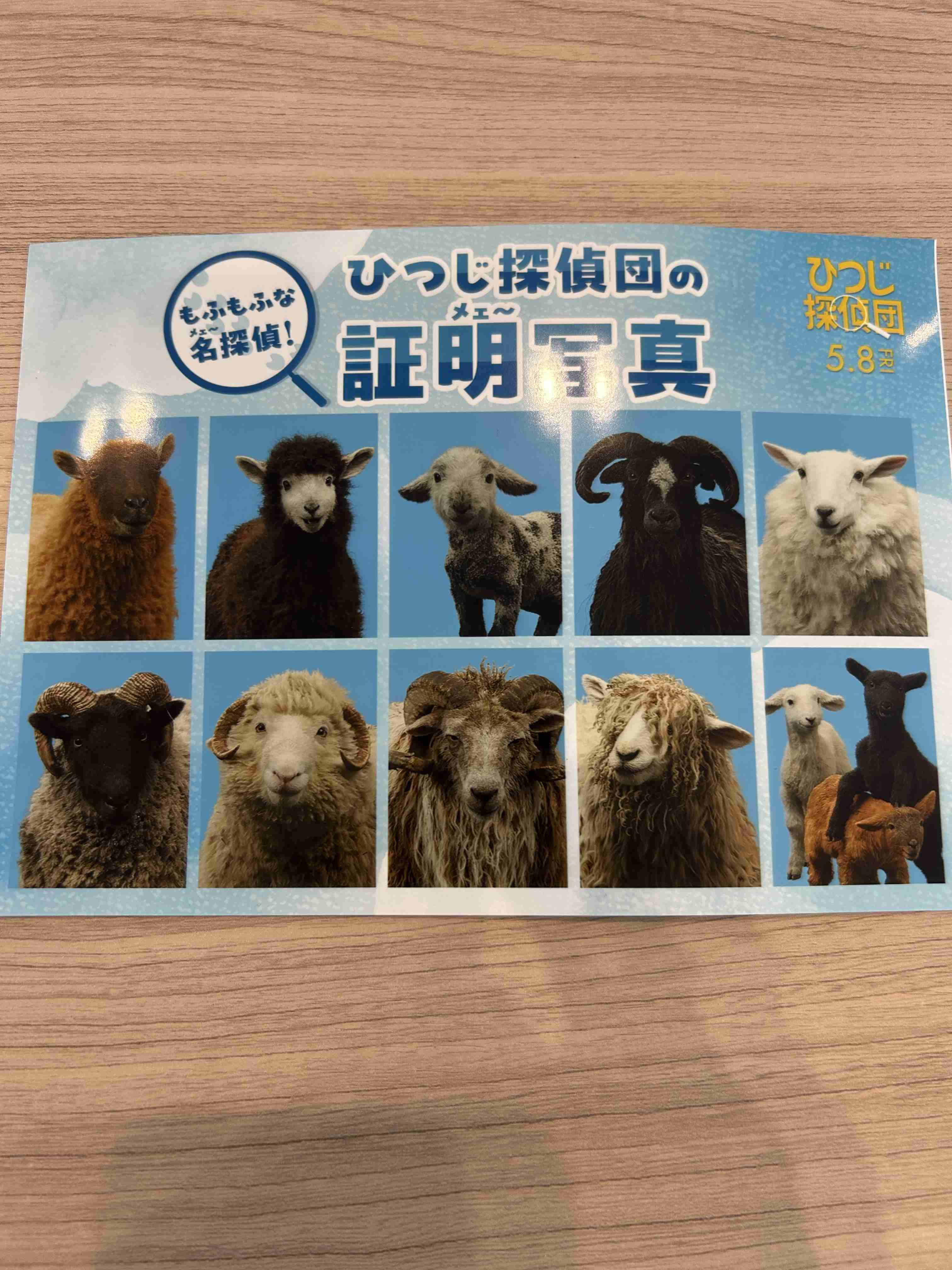 映画「ひつじ探偵団」見た人集まれ！🐏