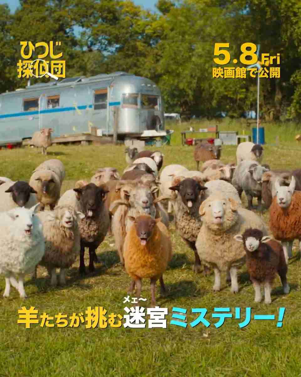 映画「ひつじ探偵団」見た人集まれ！🐏