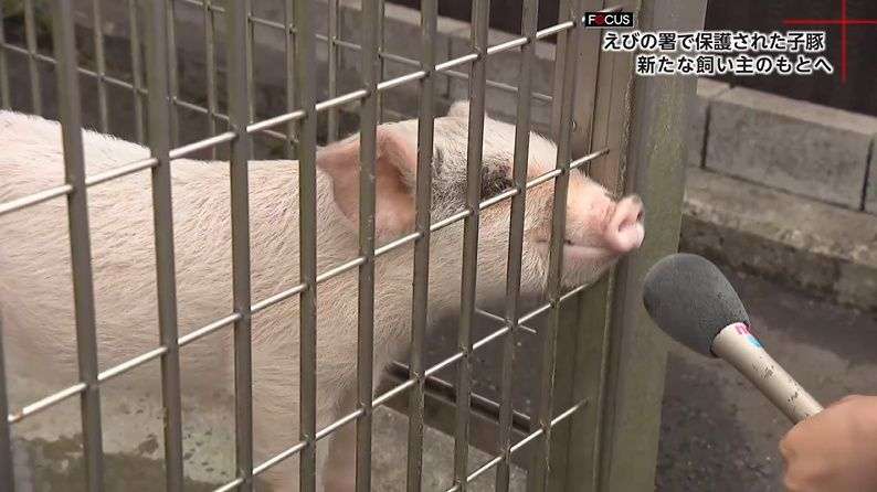 印象に残っているインタビュー