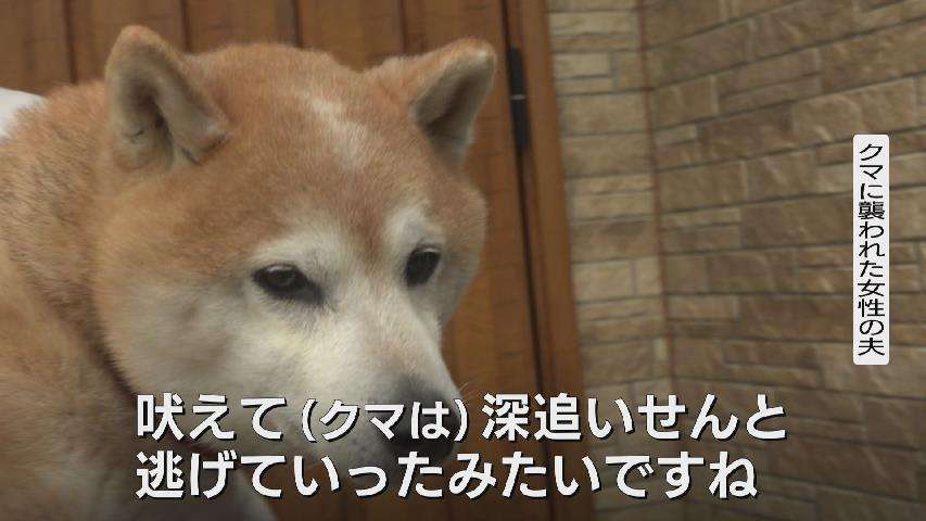 印象に残っているインタビュー