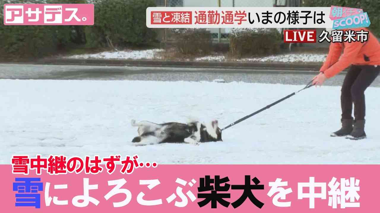 印象に残っているインタビュー