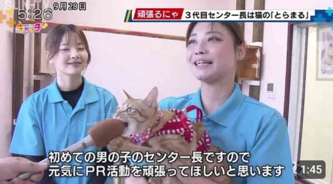 印象に残っているインタビュー