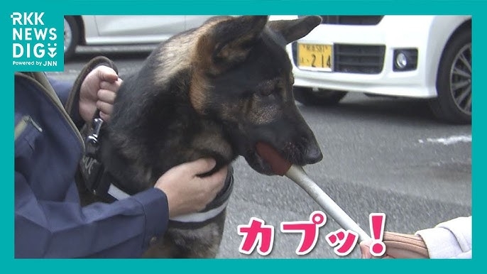 印象に残っているインタビュー