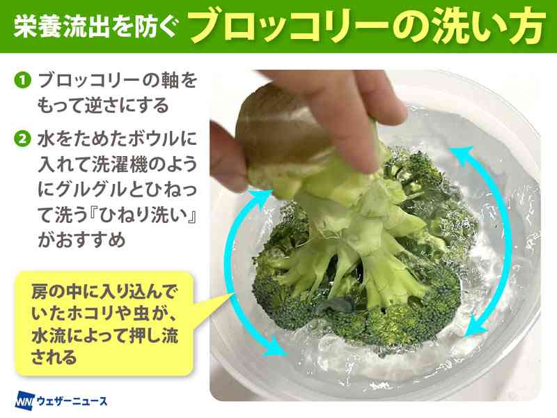 【急募】虫がいる野菜の見分け方【help】
