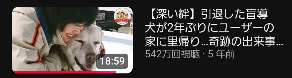 どうぶつ奇想天外好きだった人、好きな人