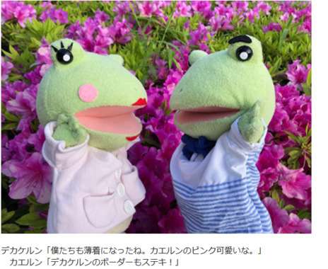 好きな気象予報士