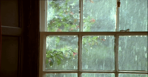雨で嬉しいこと