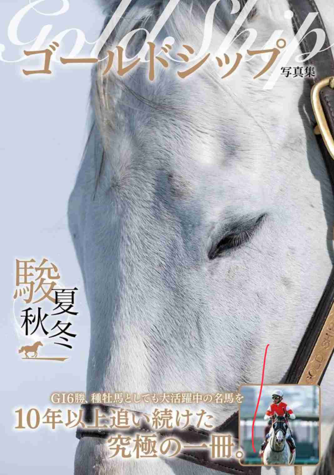 初めて推しを見たときの感想